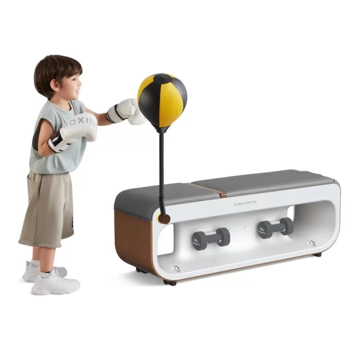 نیمکت چندکاره تناسب اندام شیائومی KINGSMITH FBB1C - تصویر 4