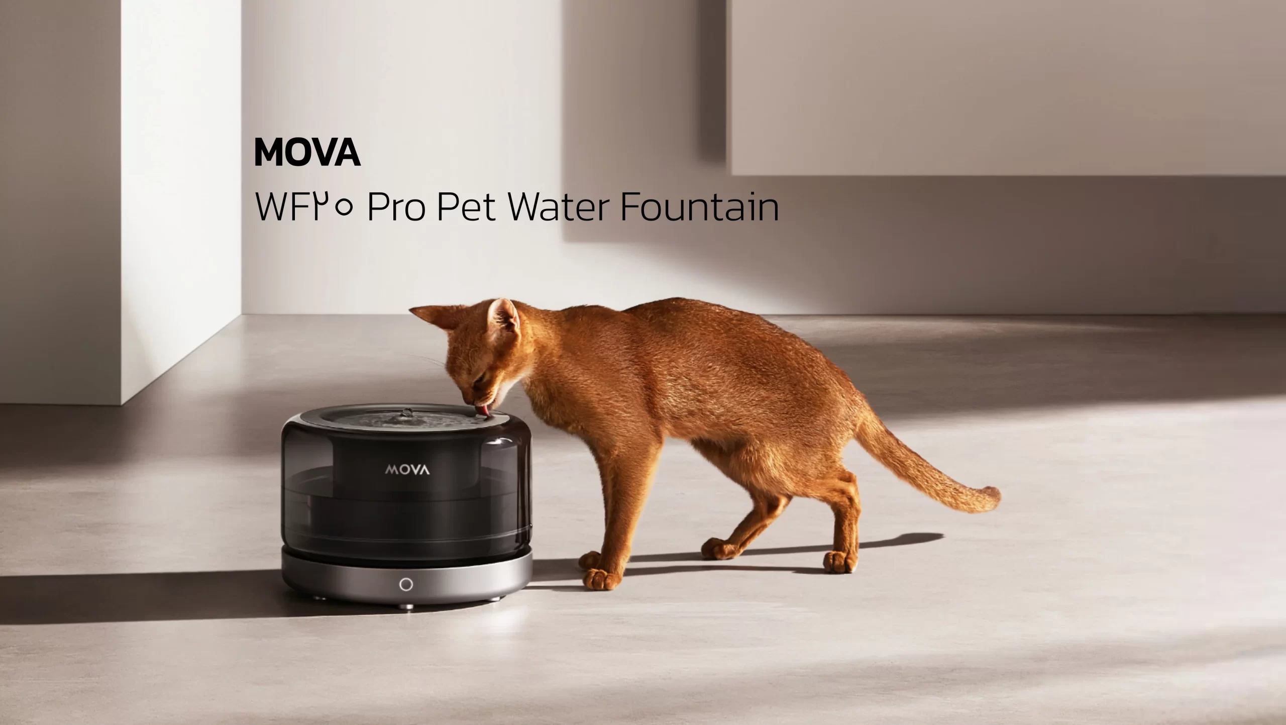 نوشیدن آب گربه از ظرف آب هوشمند Mova WF20 Pro می روبوت